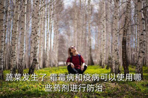 蔬菜發生了 霜霉病和疫病可以使用哪些藥劑進行防治