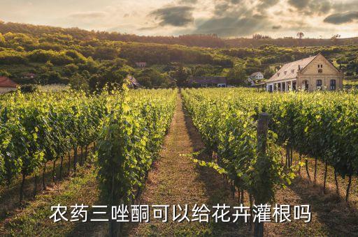 農藥佛佩唑主治什么病,樂果農藥主治什么