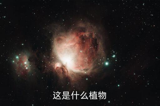 什么農(nóng)藥除假柳葉菜