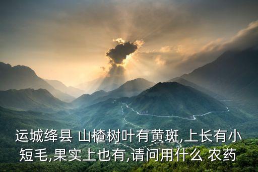 運城絳縣 山楂樹葉有黃斑,上長有小短毛,果實上也有,請問用什么 農(nóng)藥