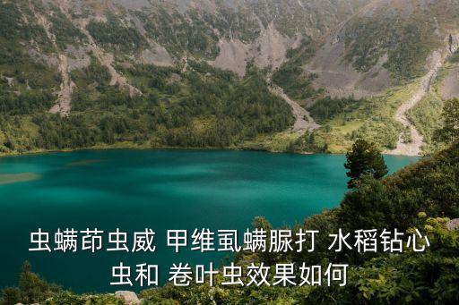 水稻卷葉蟲用什么農(nóng)藥,防治水稻卷葉蟲最好是什么農(nóng)藥