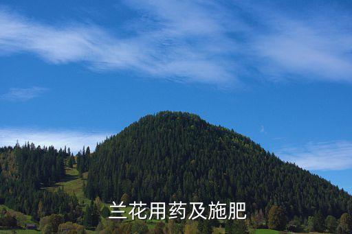  蘭花用藥及施肥
