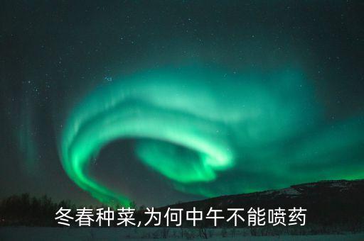 冬天什么時候噴農藥,冬天中午可以噴農藥嗎