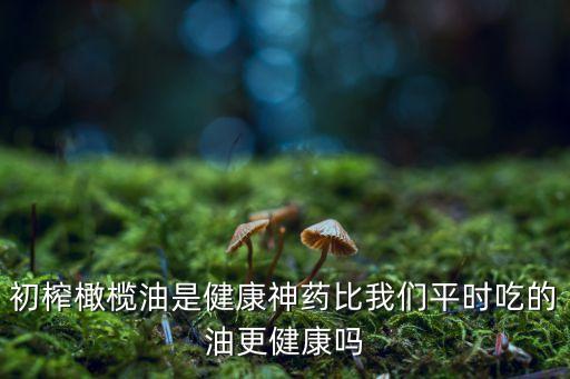 橄欖樹打什么農藥好