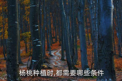  楊桃種植時,都需要哪些條件