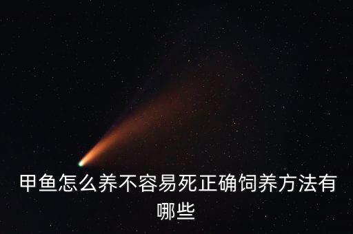  甲魚怎么養不容易死正確飼養方法有哪些