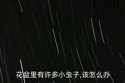  花盆里有許多小蟲子,該怎么辦