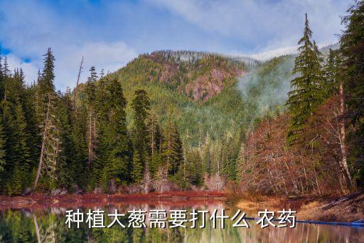 種植大蔥需要打什么 農藥