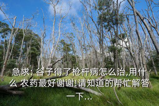 什么農(nóng)藥噴了谷子不掉,谷子打什么農(nóng)藥