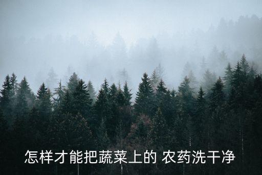 生菜用什么浸泡去農藥,生菜打什么農藥