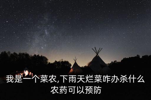 我是一個菜農,下雨天爛菜咋辦殺什么 農藥可以預防
