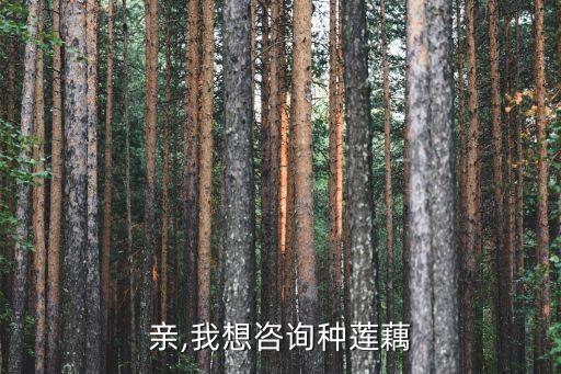 挖藕用什么農藥最好的,桃樹打什么農藥最好