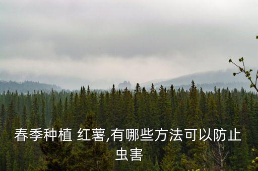 什么農(nóng)藥噴了紅薯會(huì)枯萎,什么樣的紅薯沒(méi)農(nóng)藥