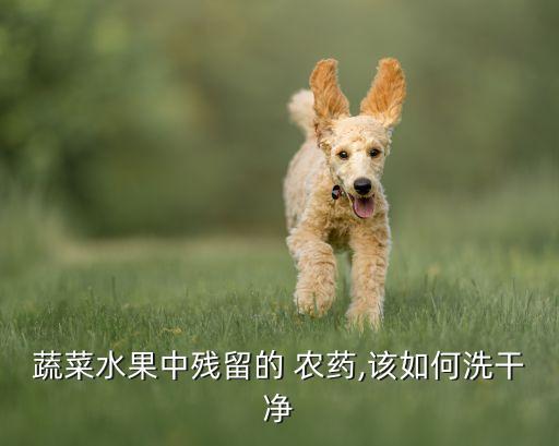 蔬菜水果中殘留的 農(nóng)藥,該如何洗干凈