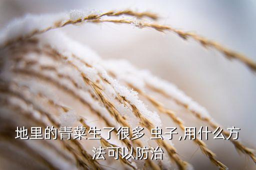 蔬菜用什么農(nóng)藥去蟲子快,有蟲子的蔬菜沒有農(nóng)藥