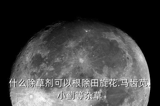 什么除草劑可以根除田旋花.馬齒莧.小薊等雜草