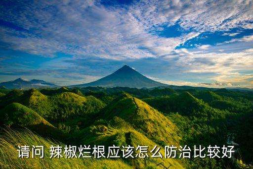 辣椒爛掉打什么農藥好,什么農藥可以把樹把都爛掉