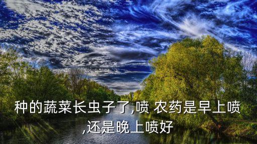 種的蔬菜長(zhǎng)蟲子了,噴 農(nóng)藥是早上噴,還是晚上噴好