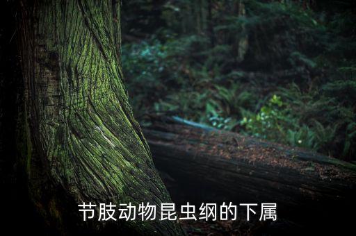 鋏尾蟲用什么農(nóng)藥,打茶葉蟲什么農(nóng)藥最好