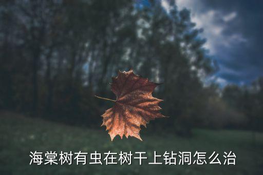  海棠樹有蟲在樹干上鉆洞怎么治