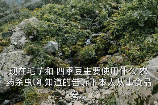 種四季豆用什么農藥好使,四季豆打什么農藥