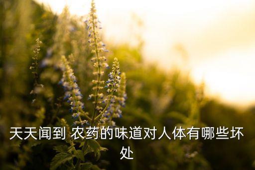 為什么習慣聞農藥味,巴旦木為什么有農藥味
