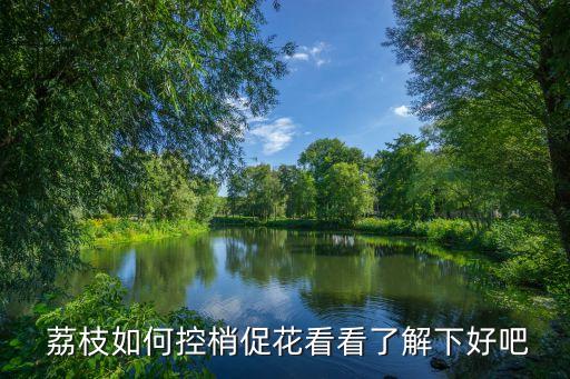 ,荔枝花期該噴什么農(nóng)藥藥