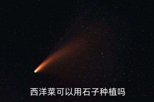 西洋菜可以用石子種植嗎