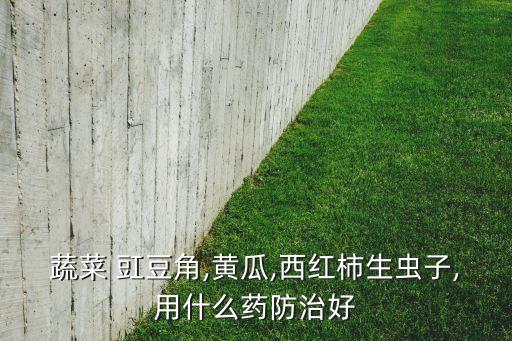 豇豆霜霉病用什么農藥,豇豆打什么農藥