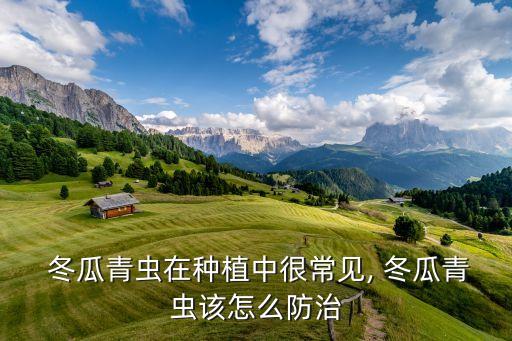 冬瓜幼苗打什么農藥,冬瓜打農藥多嗎
