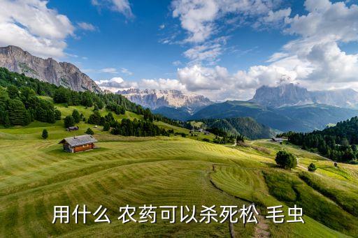 什么農(nóng)藥治毛蟲(chóng)好使呢,毛蟲(chóng)用什么農(nóng)藥噴殺