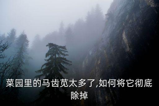 麻子菜用什么農(nóng)藥,尋麻子菜長(zhǎng)什么樣