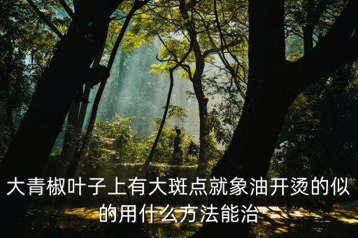 大青椒葉子上有大斑點就象油開燙的似的用什么方法能治