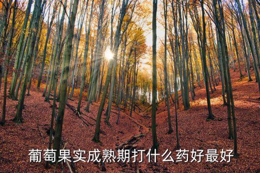 什么農藥能讓葡萄不酸,葡萄用什么農藥最多