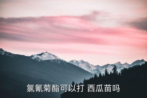 氯氰菊酯可以打 西瓜苗嗎