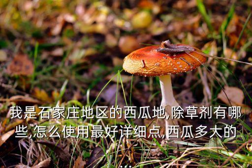 我是石家莊地區的西瓜地,除草劑有哪些,怎么使用最好詳細點,西瓜多大的...