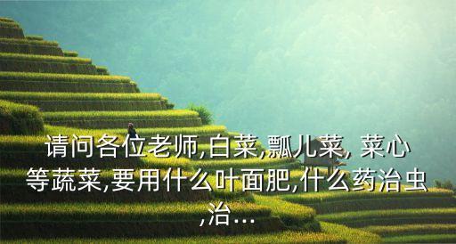 請問各位老師,白菜,瓢兒菜, 菜心等蔬菜,要用什么葉面肥,什么藥治蟲,治...