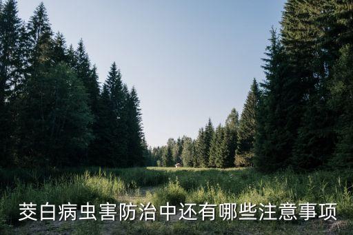 茭白生銹用什么農藥,除茭白用什么農藥