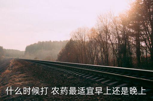 白菜農藥什么時候打好,白菜噴農藥在一天中什么時候