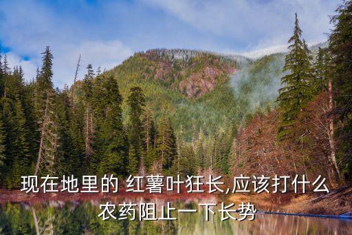 紅薯葉蟲子用什么農藥殺,紅薯上的蟲子叫什么名