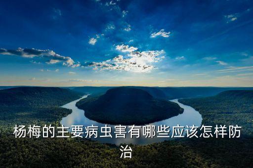  楊梅的主要病蟲害有哪些應該怎樣防治