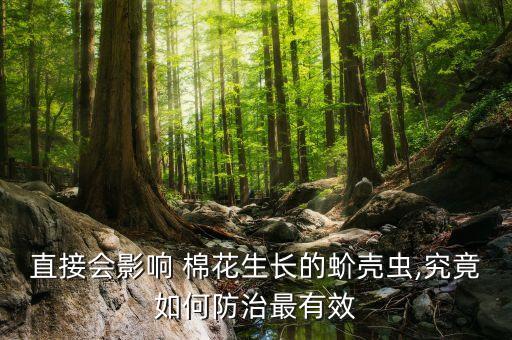 棉花蟲害用什么農藥,棉花后期打什么農藥
