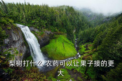  梨樹打什么 農藥可以讓果子接的更大