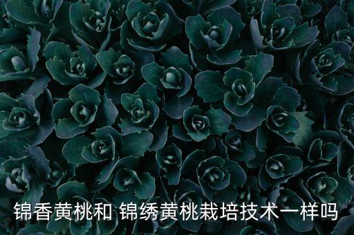 錦香黃桃和 錦繡黃桃栽培技術(shù)一樣嗎