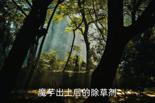 芋頭苗用什么農藥好些呢,芋頭不能打什么農藥