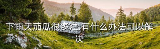 下雨天茄瓜很多爛,有什么辦法可以解決