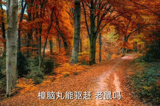 什么農藥氣味能趕走老鼠,樂果農藥什么氣味