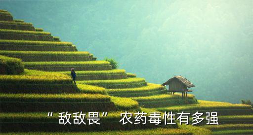 農(nóng)藥敵敵畏的含量是什么,農(nóng)藥有效成分含量是什么