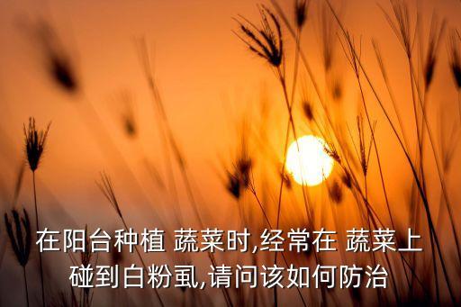 蔬菜有飛虱用什么農藥,蔬菜上的白飛虱用什么農藥