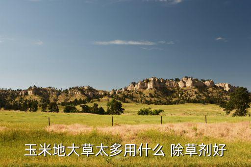 玉米地大草太多用什么 除草劑好